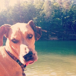 Bed Hogs. Oregon. And Gratitude.