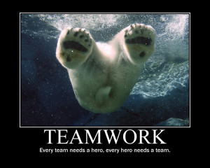 Teamwork Every Team Needs A Hero