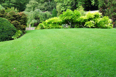 lawn mowing cookstown receive free quotes from cookstown lawn mowing ...