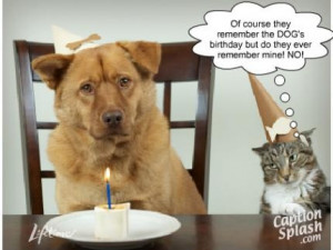 funny cat and dog birthday photo/message. LOL