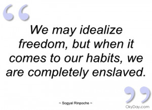 we may idealize freedom sogyal rinpoche