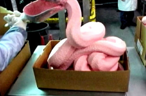 Pink Slime Maker Files For Bankruptcy: Pink Slips Galore As The Pink ...