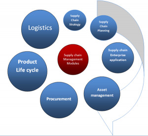 Diagrammatic representation of our SCM software with models