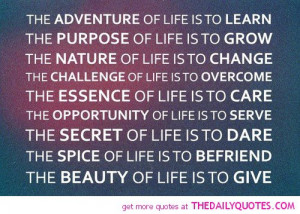 the-adventure-of-life-quotes-sayings-pictures.jpg