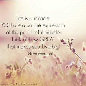 Life Quotes The Miracle