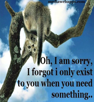 Oh, I am sorry, I forgot i only exist to you when you need something ...