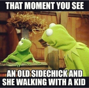 Photos / Kermit the Frog inspires funny Instagram memes