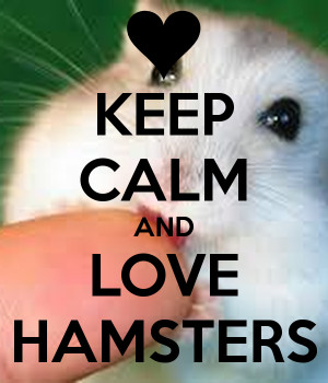 Keep Calm amp Love Hamsters