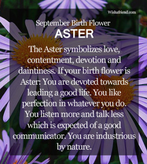 September Birth Flower : Aster
