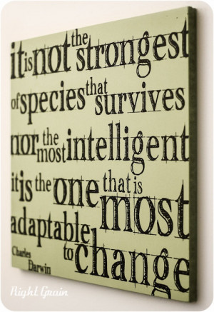 Charles Darwin Canvas Inspirational Wall Quote in by RightGrain, $25 ...