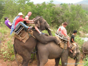 Indian Tourist Vacation Fun and Funny Elephant