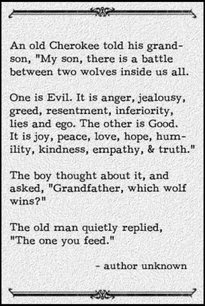 Wise Native American Quote