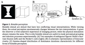 visual perception such as selection, grouping, disambiguation and