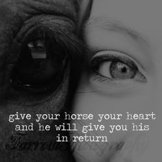 The bond between horse and rider.. Is.. Indescribable