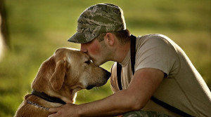 ... American military dogs deployed at combat forces develop canine PTSD