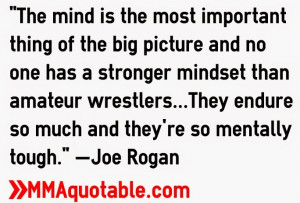 Motivational / Inspirational sayings from Joe Rogan