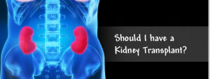 What Countries off Kidney Transplant?