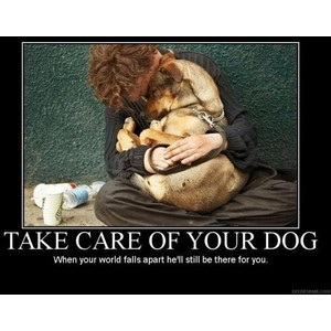 Words to live by / A homeless man and his dog