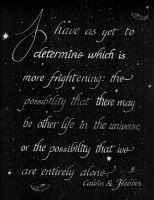Calvin and Hobbes Universe Quote by eachee