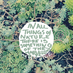 Aristotle Nature Quote - Photo Art Print - Succulents Green ...