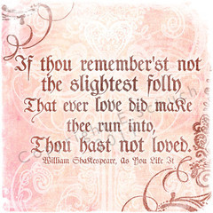 SHAKESPEARE LOVE QUOTE: FOLLY