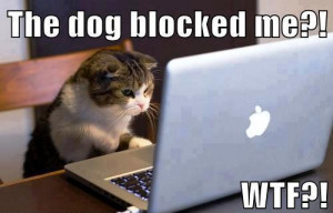 WTF?!! The dog Blocked me ?? !!