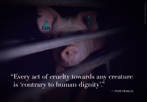 ... towards any creature is 'contrary to human dignity'. - Pope Francis