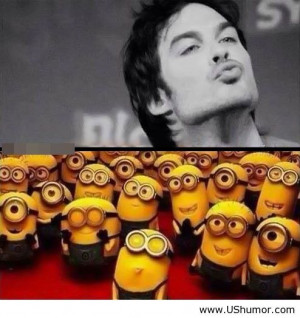 BEST EVER 44 best funny Minions, Quotes and picture