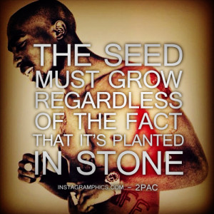 The Seed Must Grow 2pac Quote Graphic