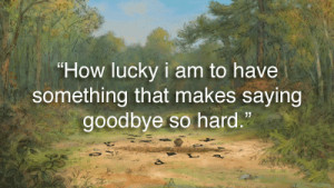 Wise Quotes From Winni Pooh (15 pics)