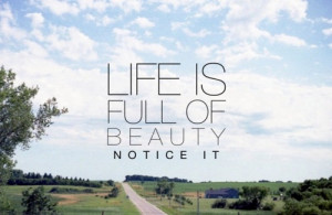 Data dodania: 10-02-2012 12:15:41 | Użytkownik: pepa | Rozmiar: 500 x ...