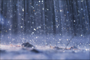 Descriptive Paragraph about the sounds of rain