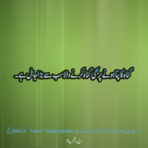 Hadees And Islamic Quotes (daily Update)