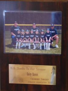 Welcome to RaceStar lion's Den Sponsor - $1. O Company logo or name ...