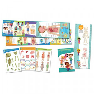 LeapFrog LeapReader Interactive Human Body Discovery Set (works with ...