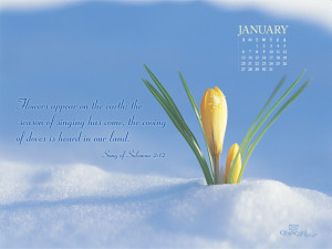 jan 2013 flowers wallpaper download free christian january wallpaper