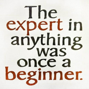 Quote #153 – The expert in anything was once a beginner.