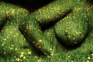 hot, fiery center determining polarity-