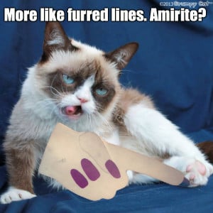 11 Grumpy Cat Pictures — Hilarious Grumpy Cat Gallery