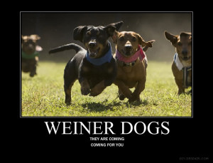 Subject: The Weiner Dog Thread!