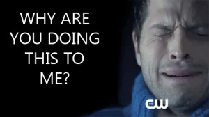 FORUMS > All Things Gay Forum Rules