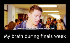 my-brain-during-finals-week
