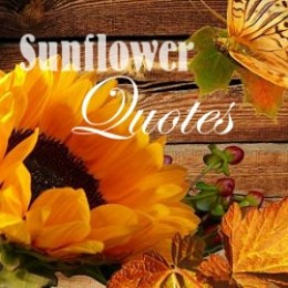 Sunflower Quotes