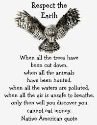 Native American quotes - Google Search