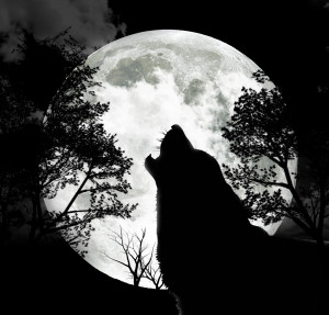 january full moon full wolf moon full old moon full cold moon