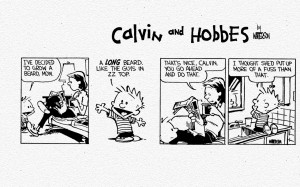 Calvin-and-Hobbes-random-24017428-1280-800.jpg