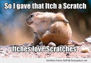 itches love scratches gopher sqirrel animal funny pics pictures pic ...