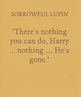 harry potter quotes mystuff requested remus lupin moony