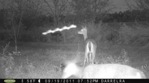Deer Cam Rod