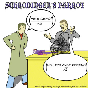 Schrodinger's Cat Cartoon